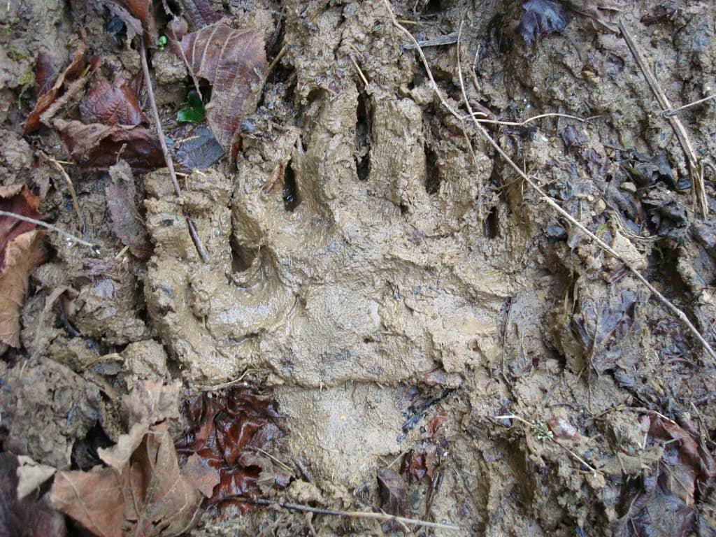 Historic Tunnels & Bridges