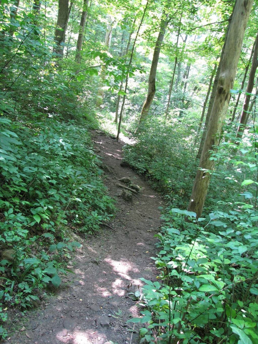 Vertical photo