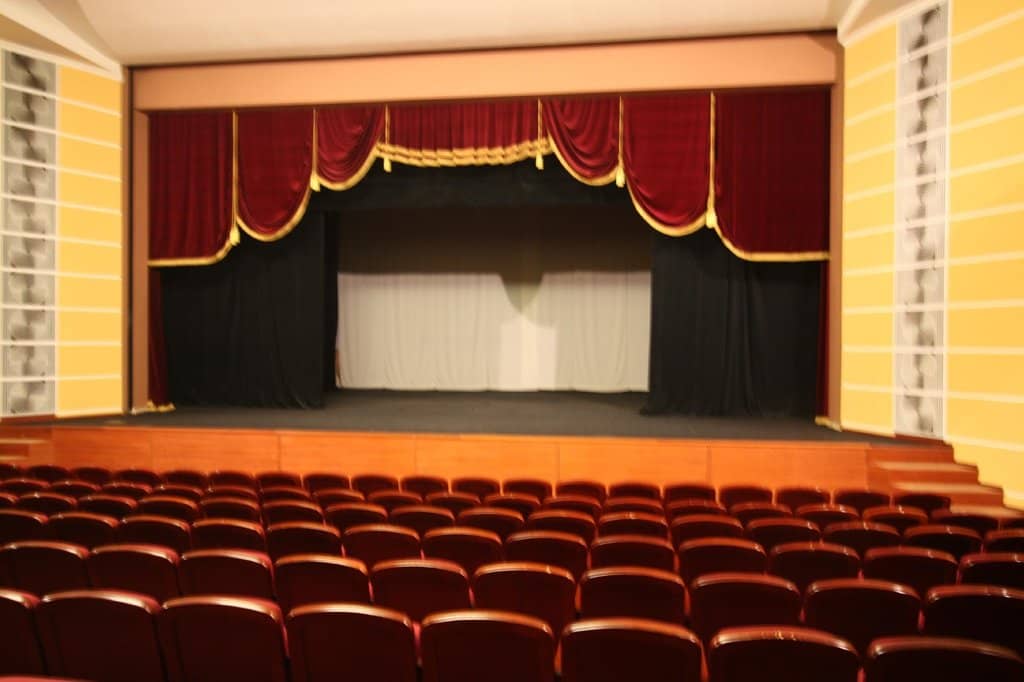 The Cat Who Walks by Herself