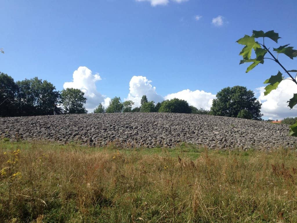 Intricate Petroglyphs