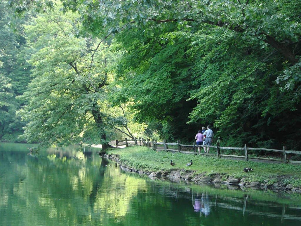 Fishing Opportunities