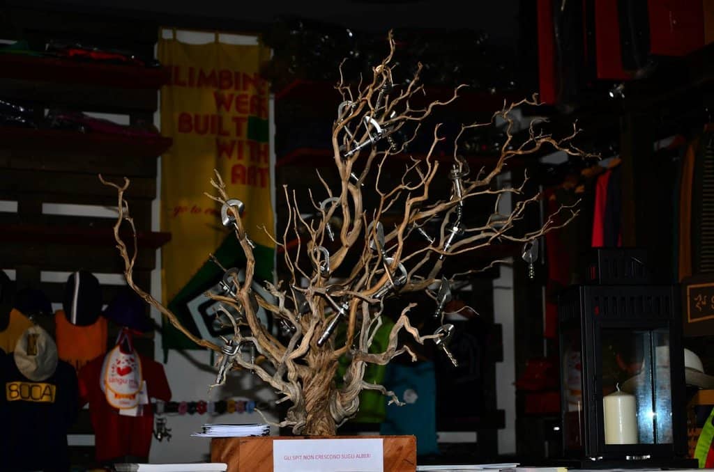 Rocky Coves & Swimming