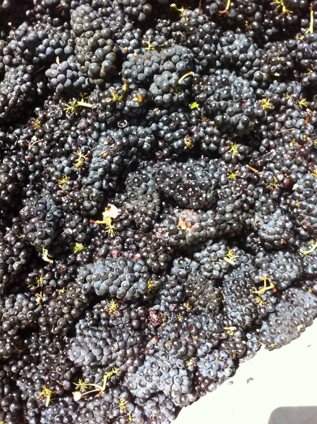 Weekend Brunch Delights