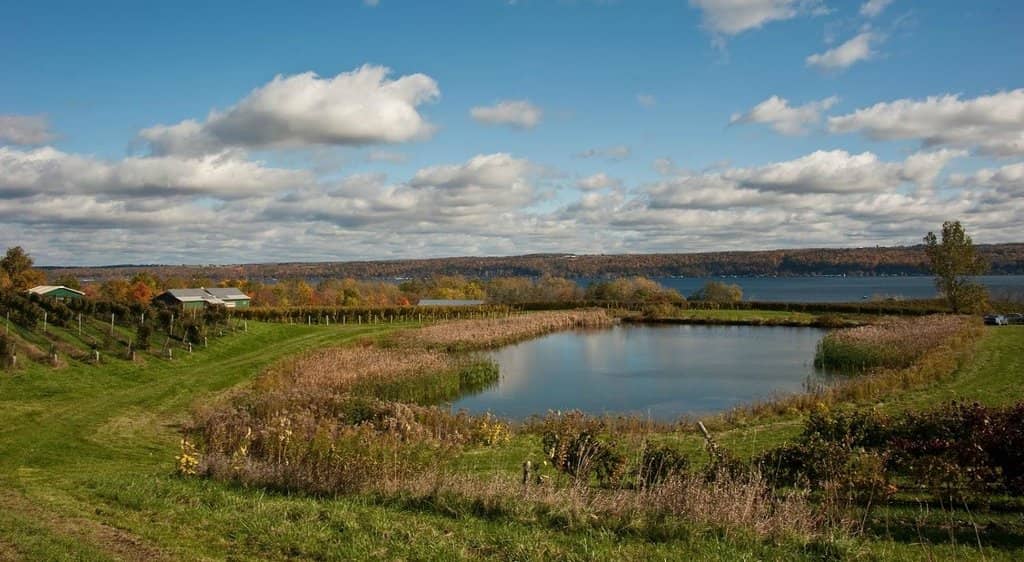 Exceptional Food Pairings