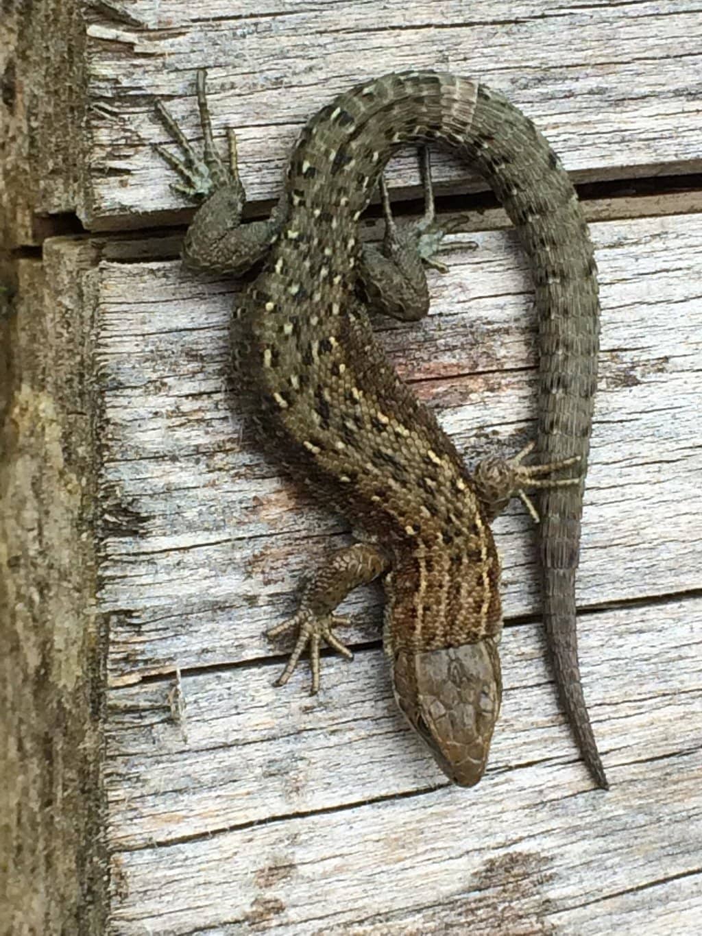 Nature Lab Exploration