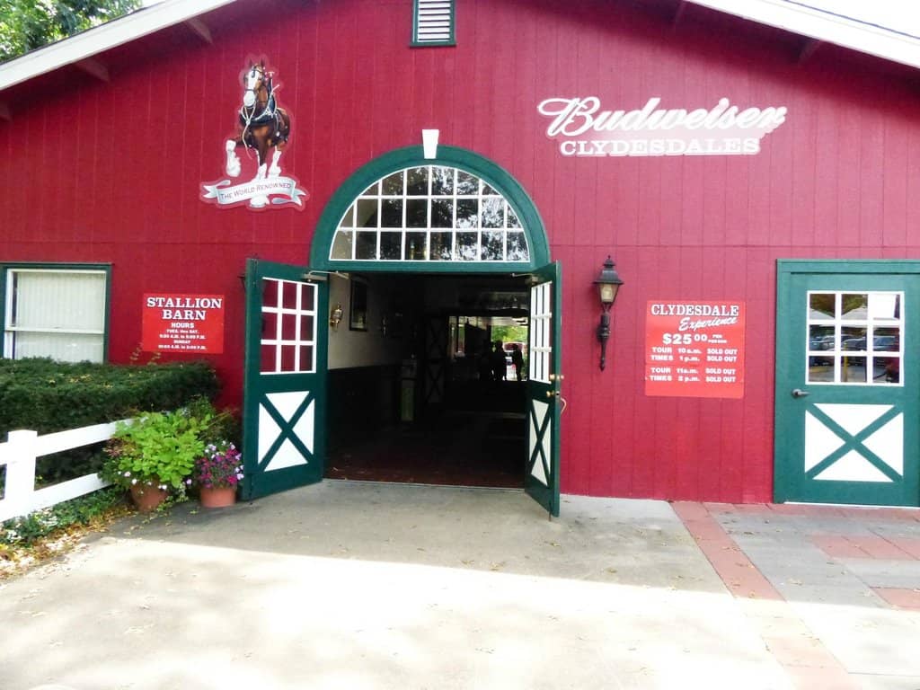 Tram Ride Through the Deer Park