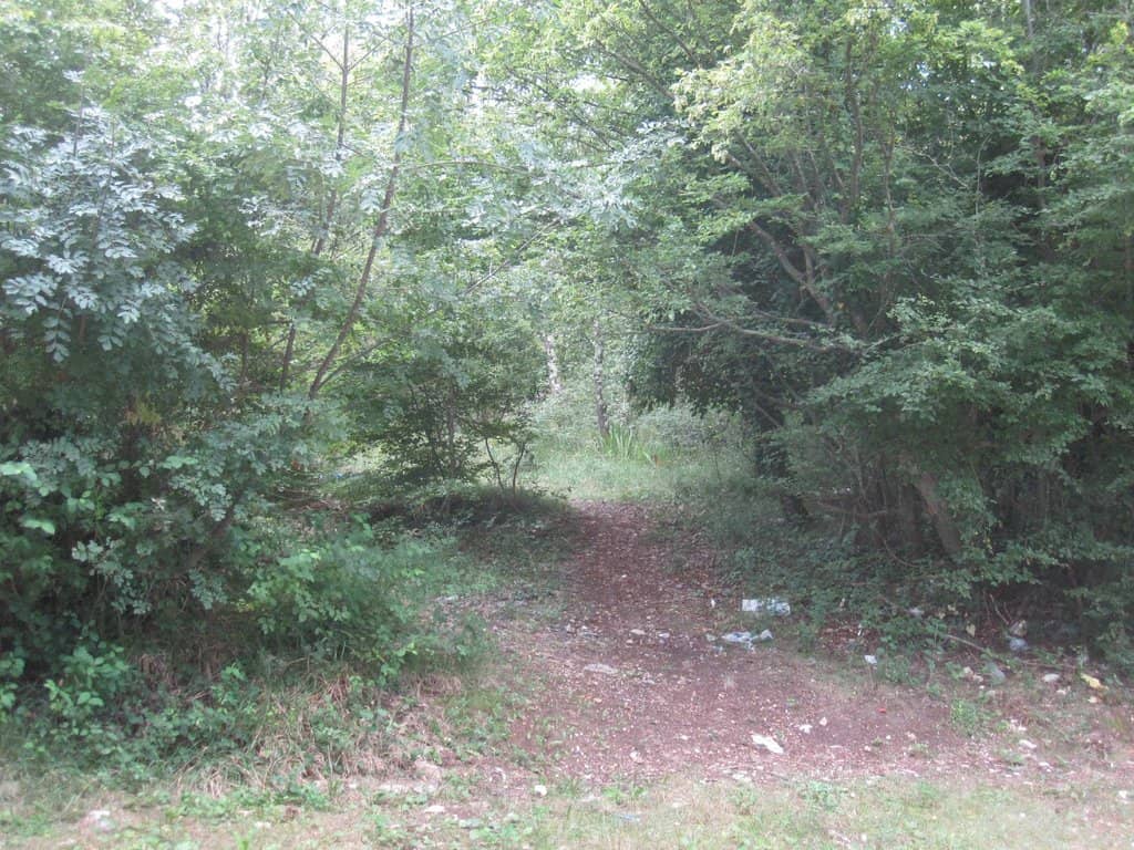 Archaeological Dig Sites