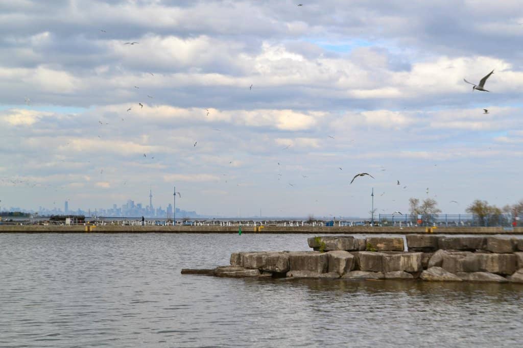 Picnic and Play Areas