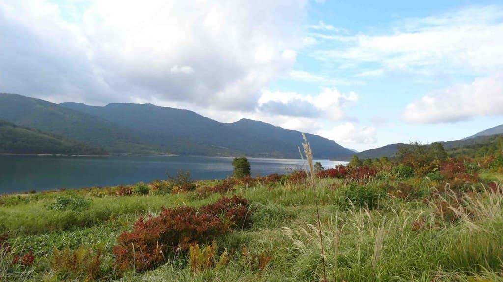 Fishing Opportunities