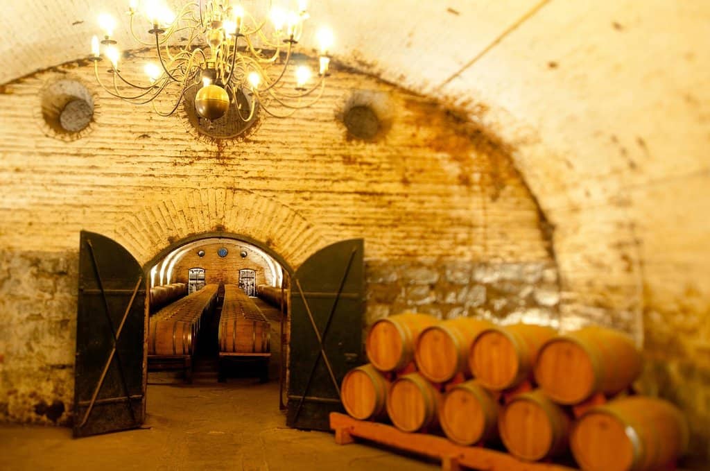 Vineyard Exploration