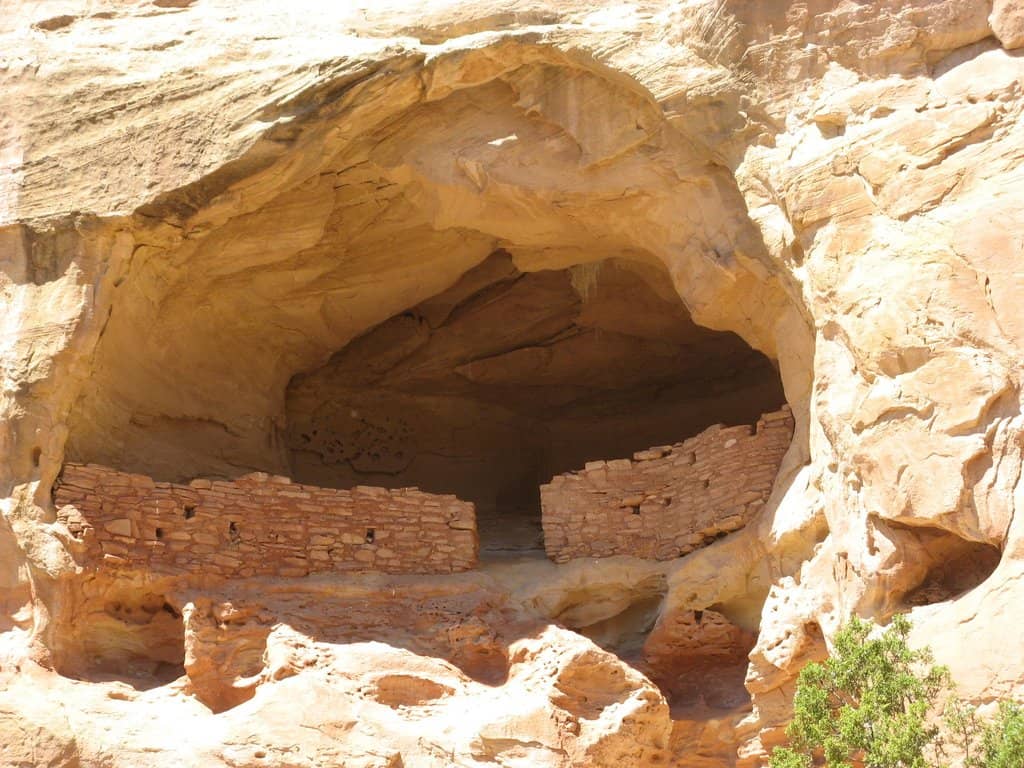Canyon of the Ancients Visitor Center & Museum
