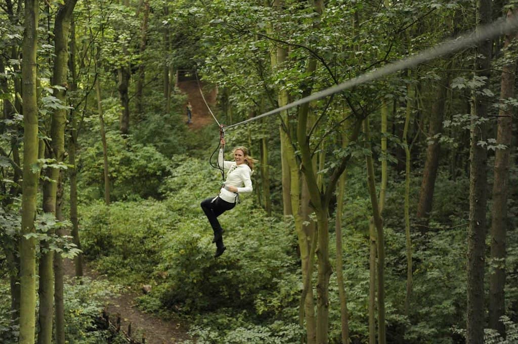 The Tarzan Swing