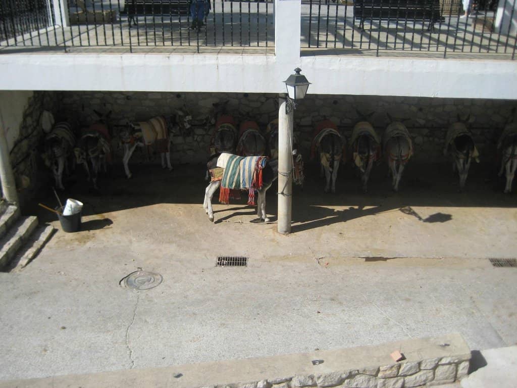 Panoramic Coastal Views