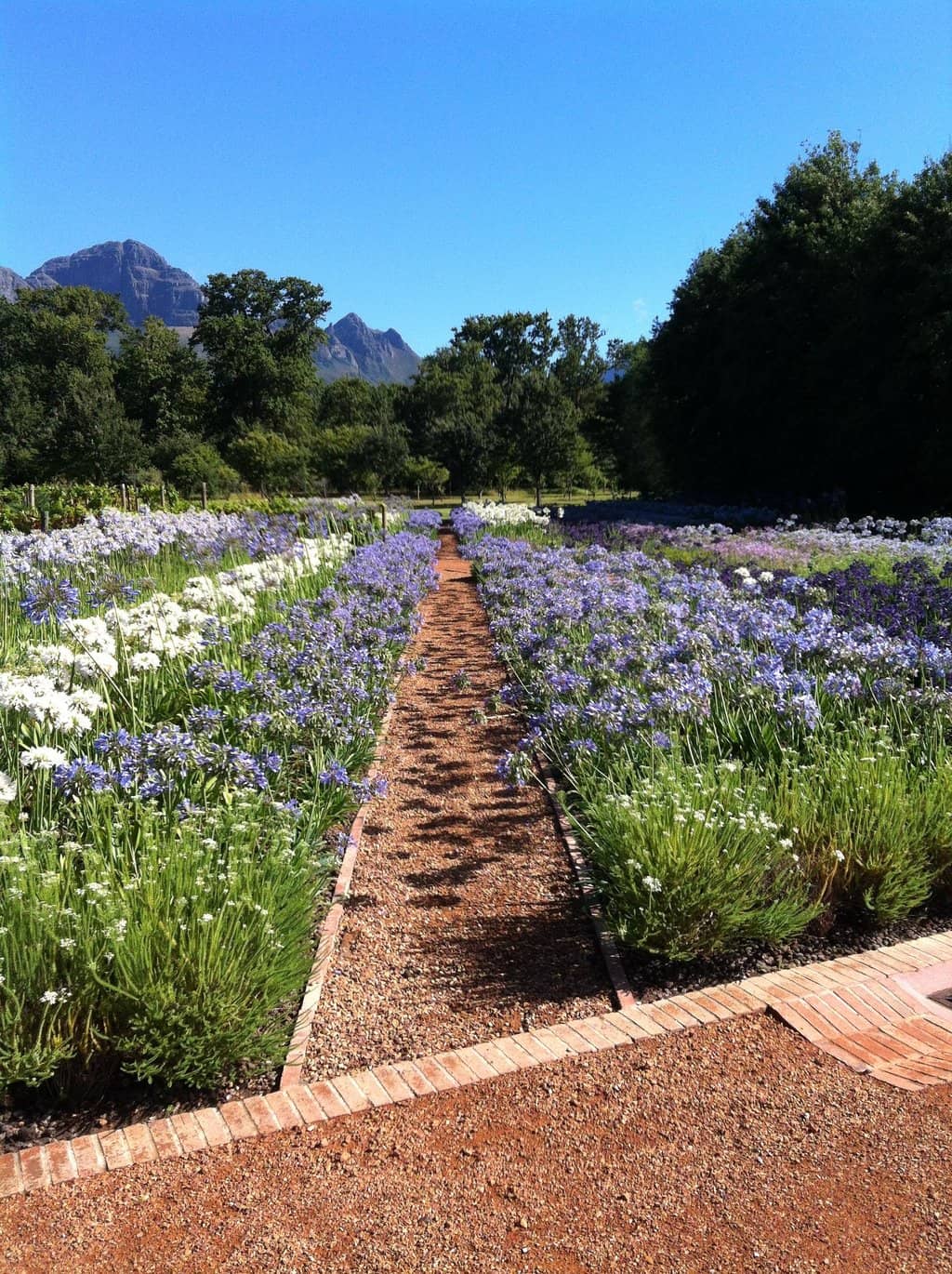 Stables Restaurant Dining