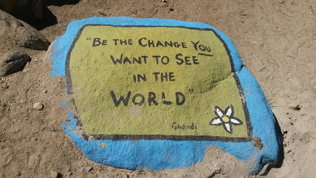 Interactive Experiences