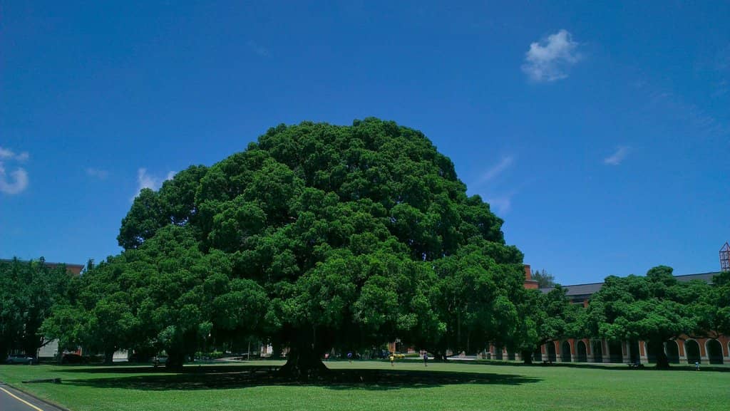 Meteor Garden Filming Spots