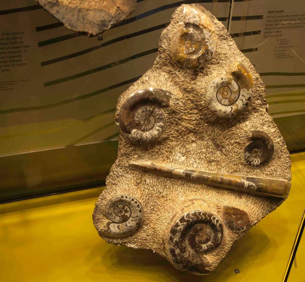 Interactive Periodic Table