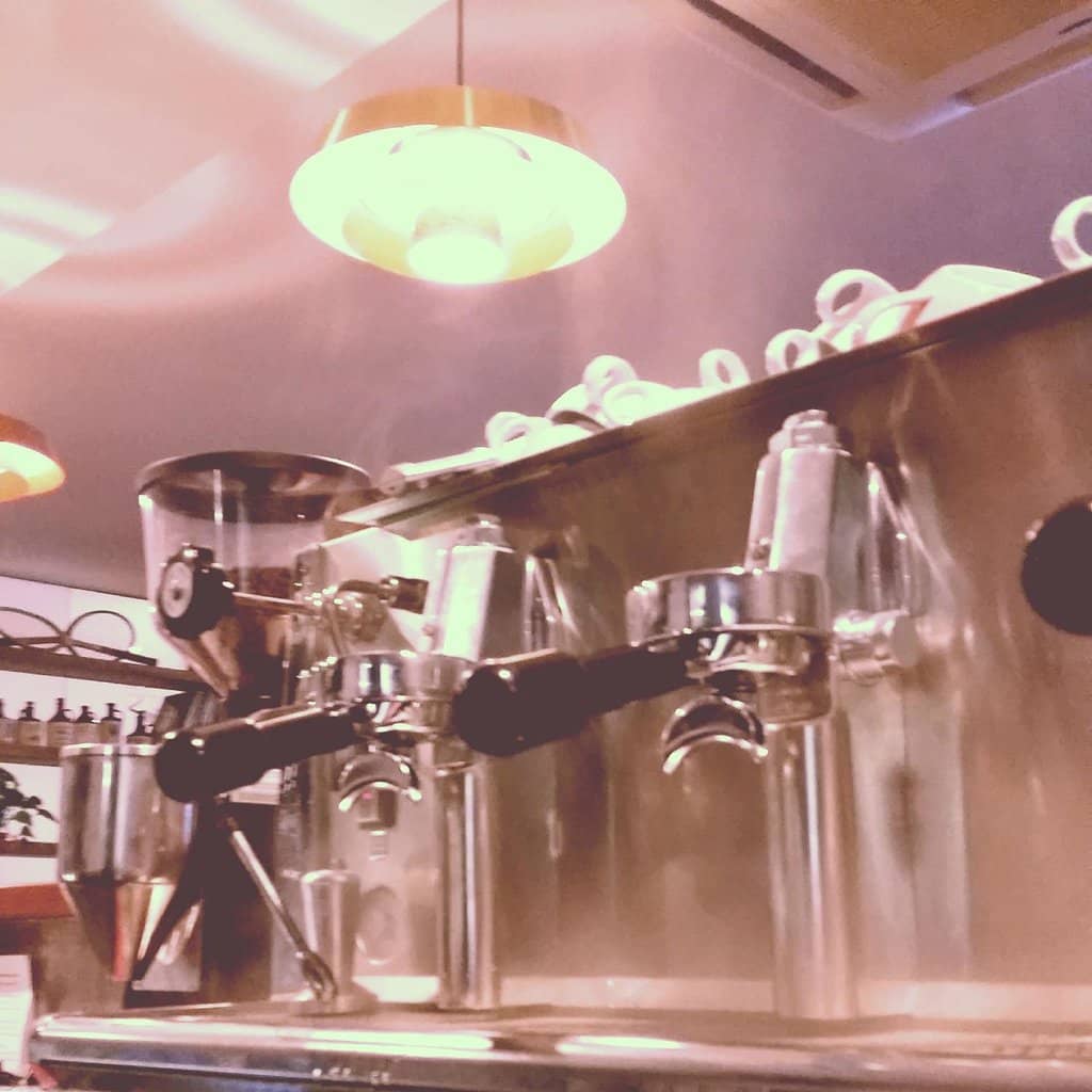 Dog-Friendly Ambiance