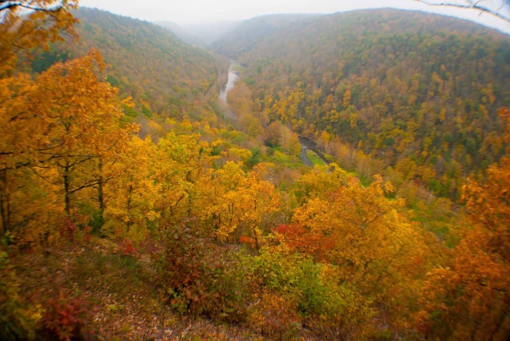 Pine Creek Rail Trail