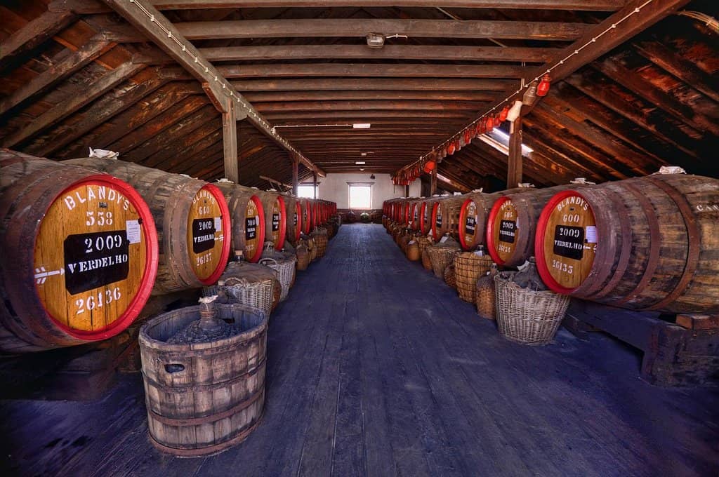 Wine Tasting Flights