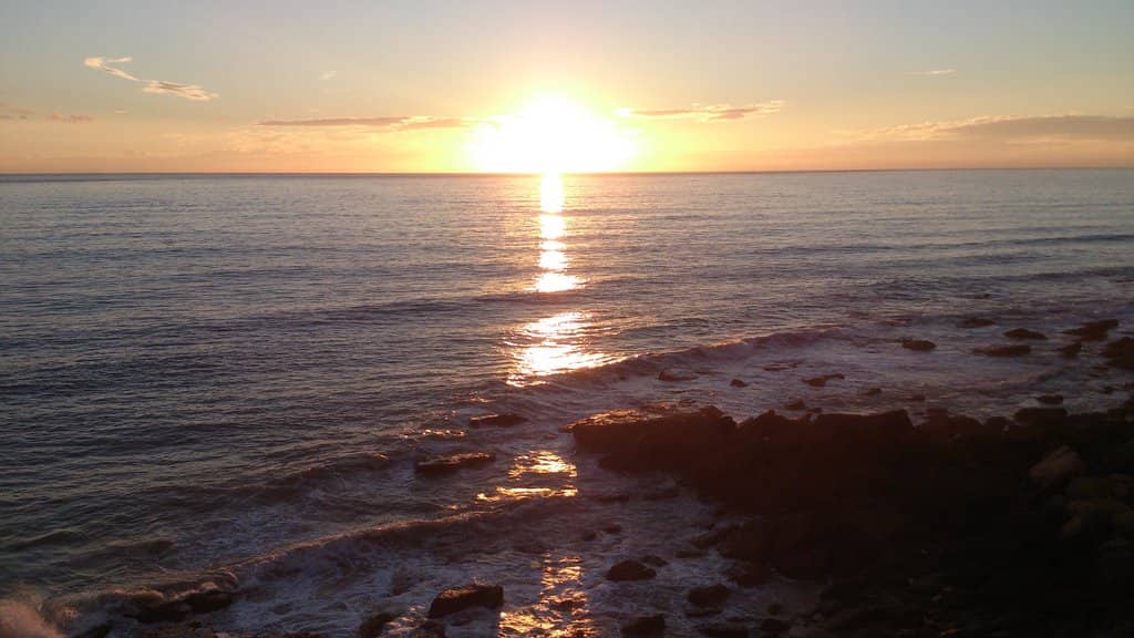 Natural Wind Shelter
