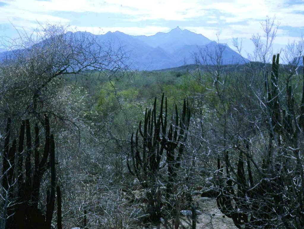 Hiking to the Summit