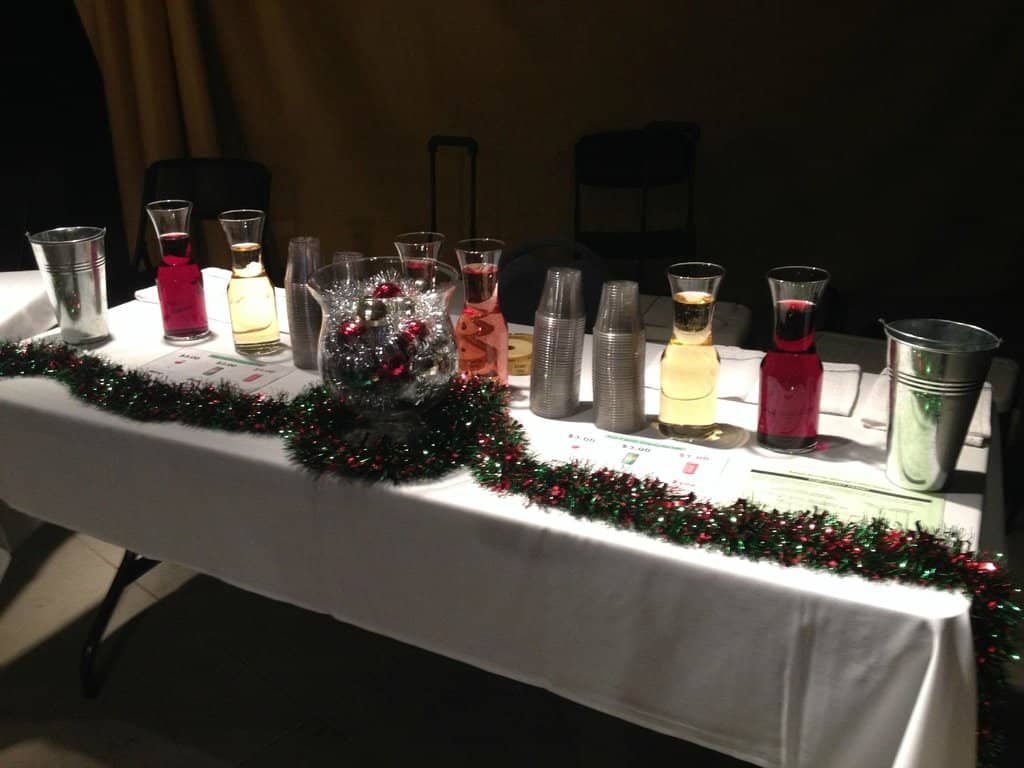 Salt Safari Adventure