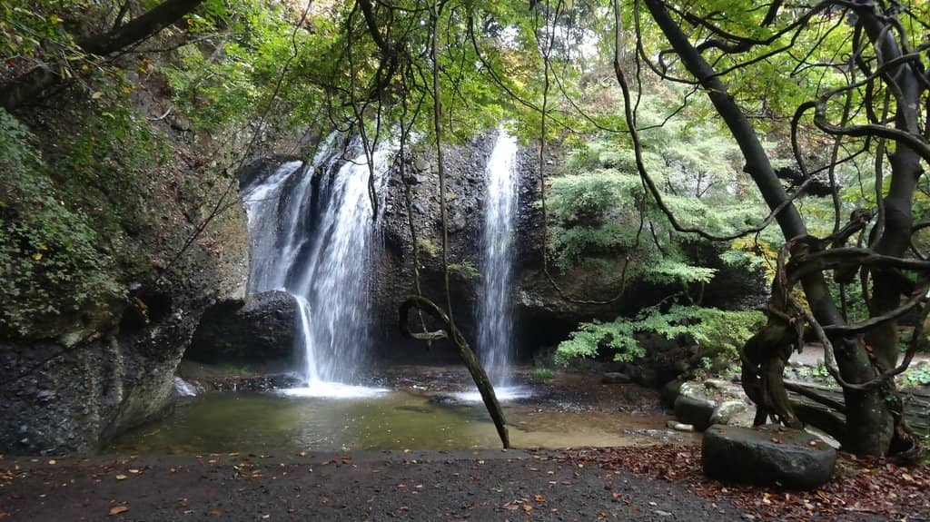 Nagashi Somen Experience