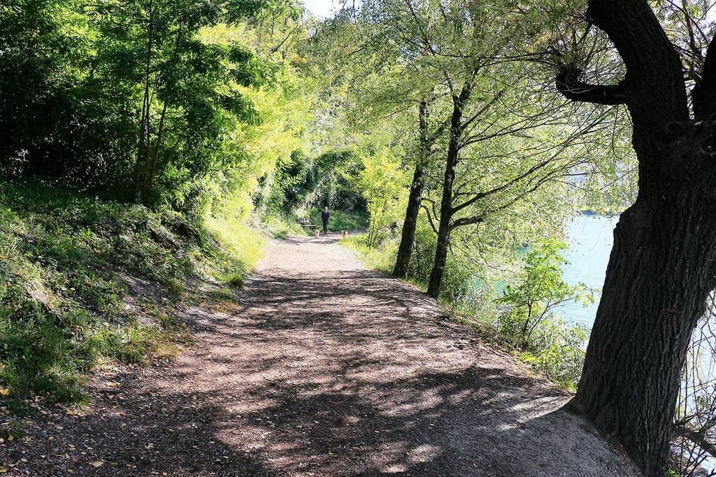 Refreshing Summer Swims