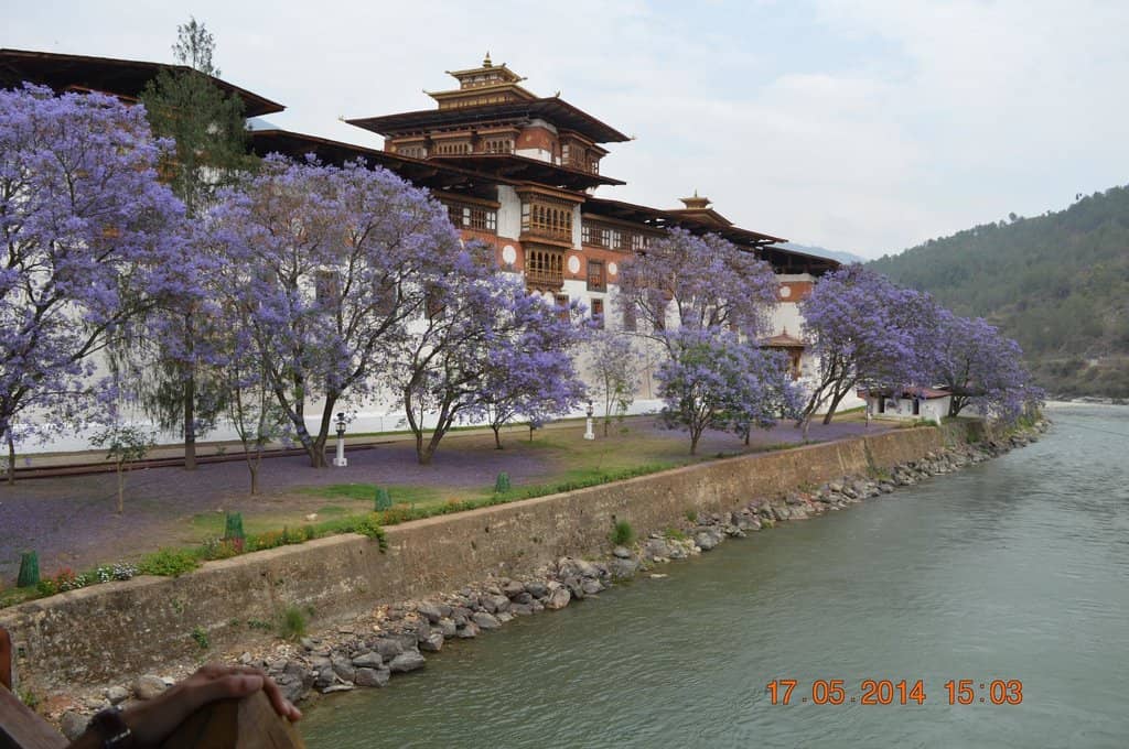 The Iconic View from the Bridge