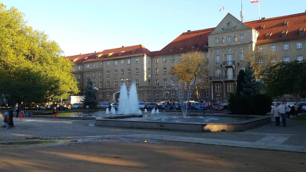 Spring Crocus Carpet
