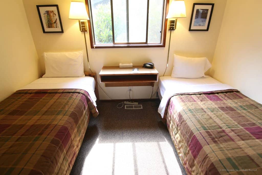 Autumn Foliage Spectacle