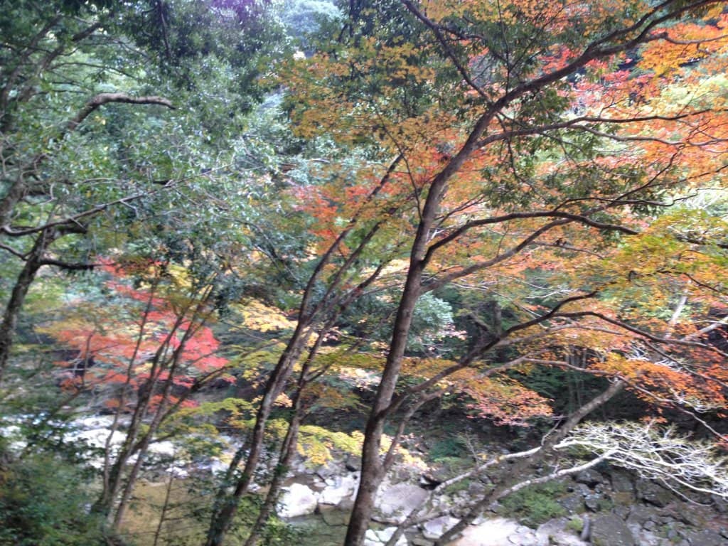 Scenic Hiking Trails