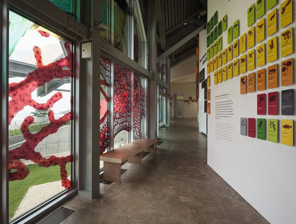 Mountain View Seating Area