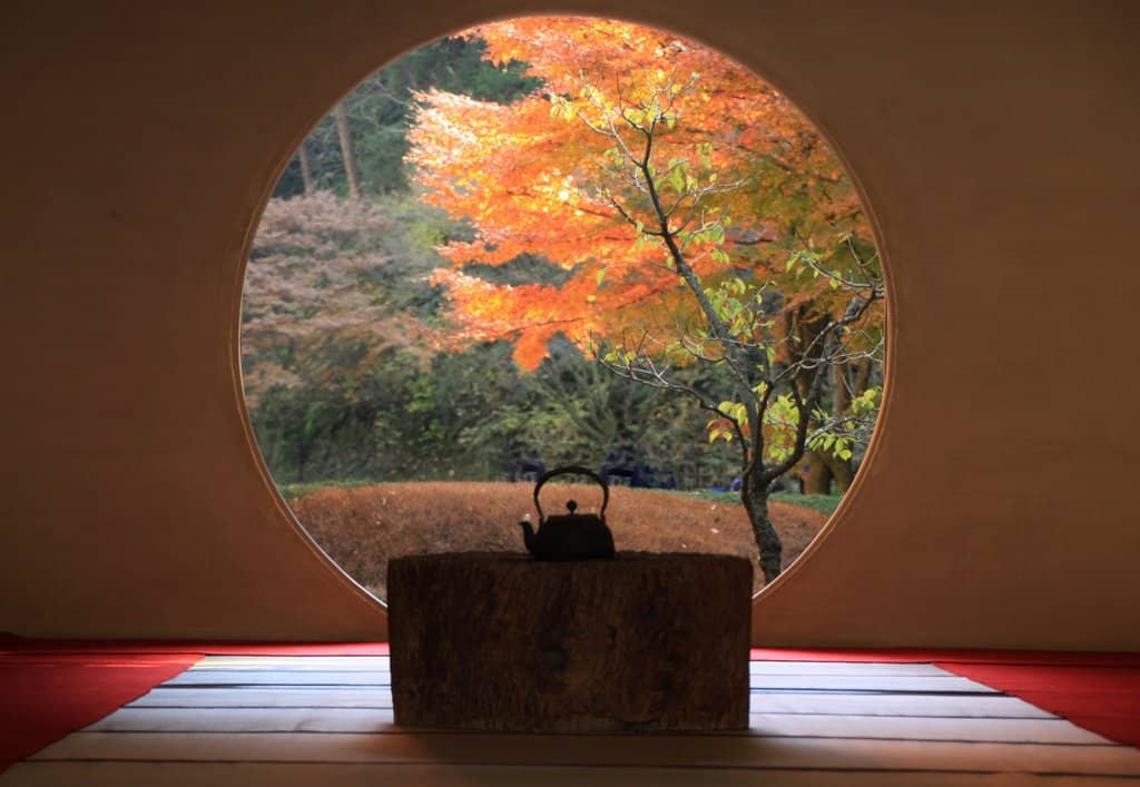 Vibrant Hydrangea Garden