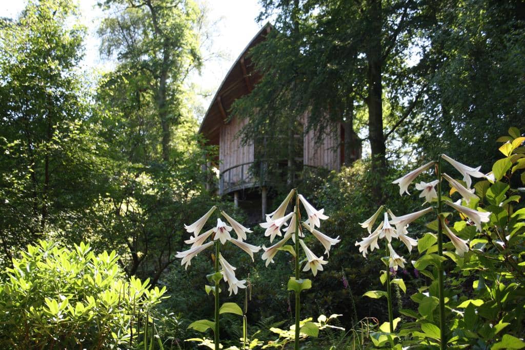 World Explorer's Gardens