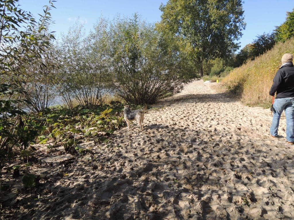 Elbecamp & Café Lücküs