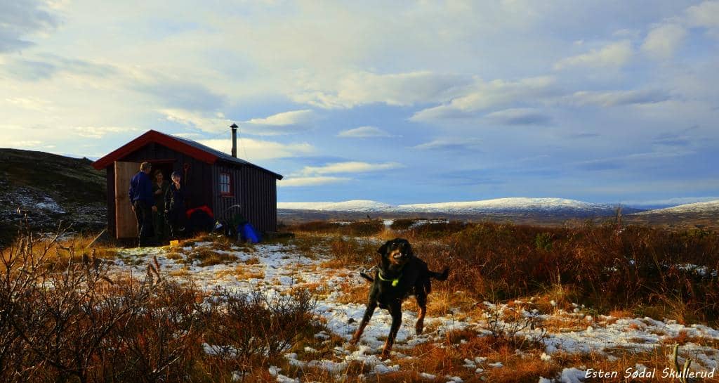 Hognabua Cabin