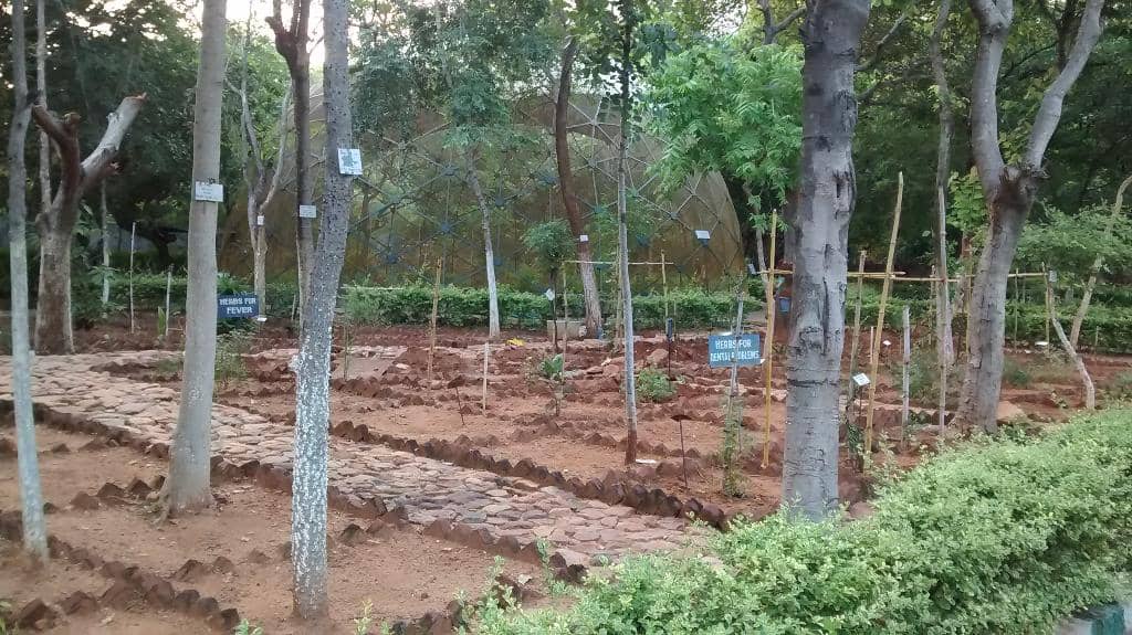 3D Theater Experience