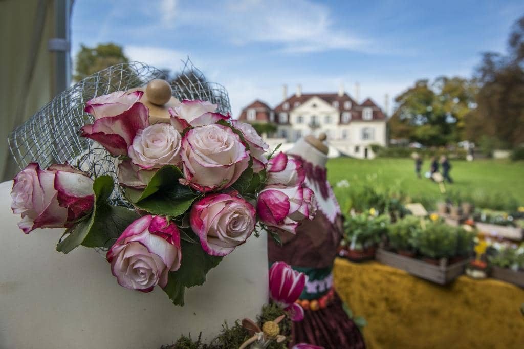 Spring & Winter Flower Festivals