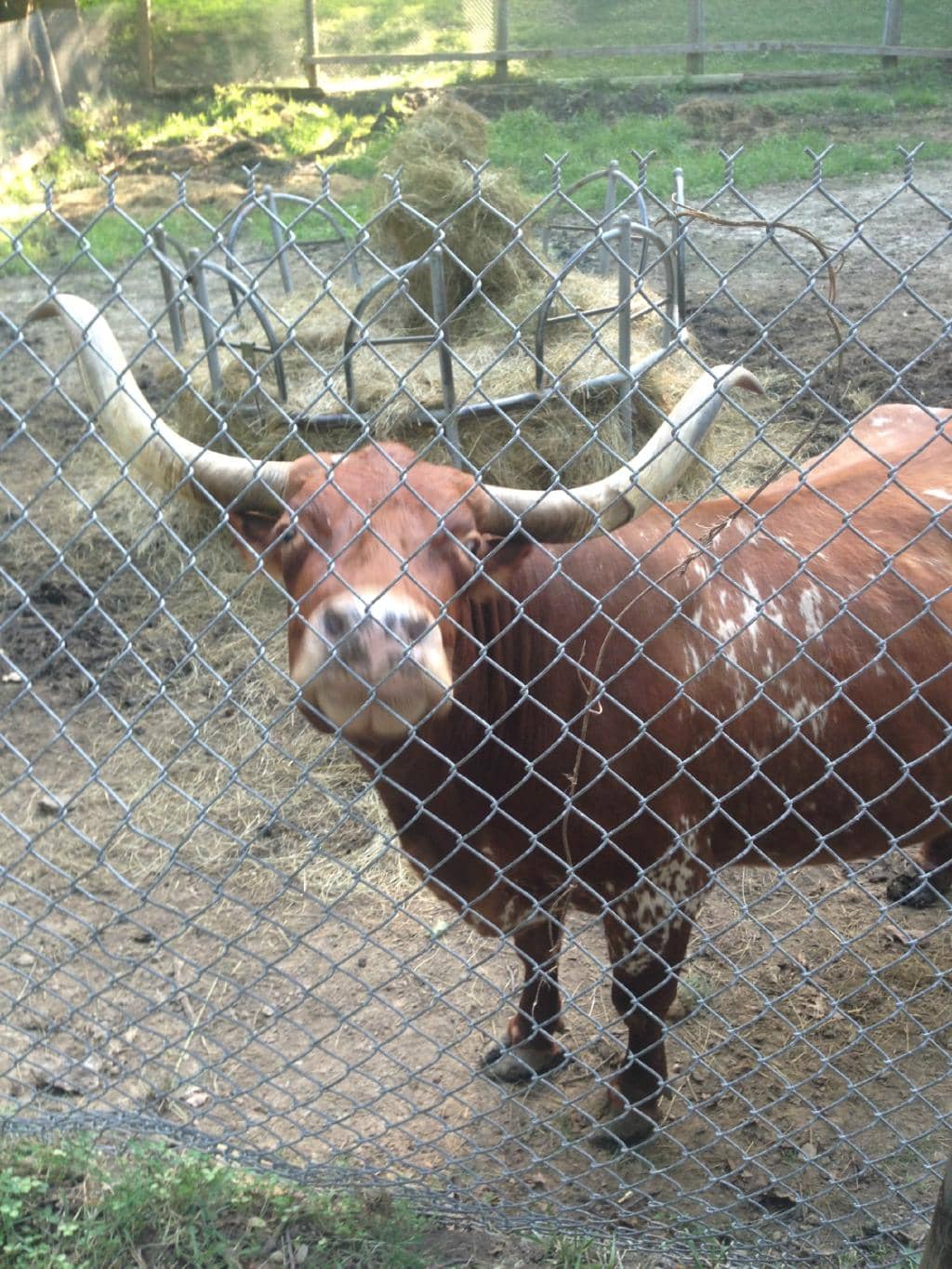 Scenic Trails for All