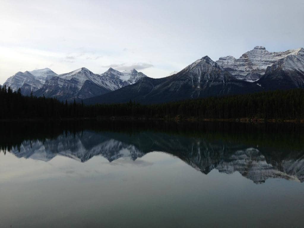 Mirror-Like Reflections