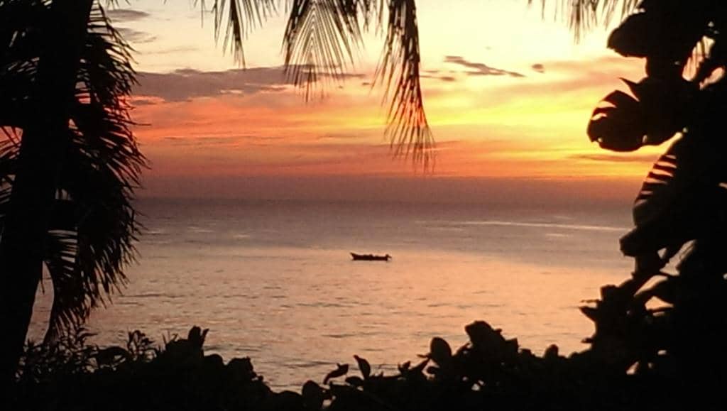 Surfing Opportunities