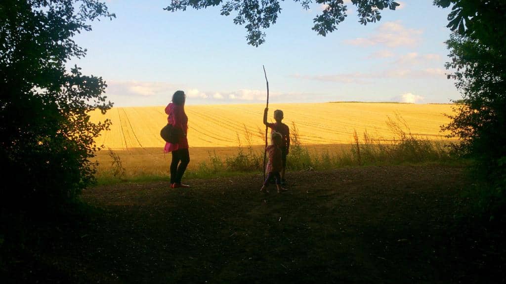 Gog Magog Hills Trails