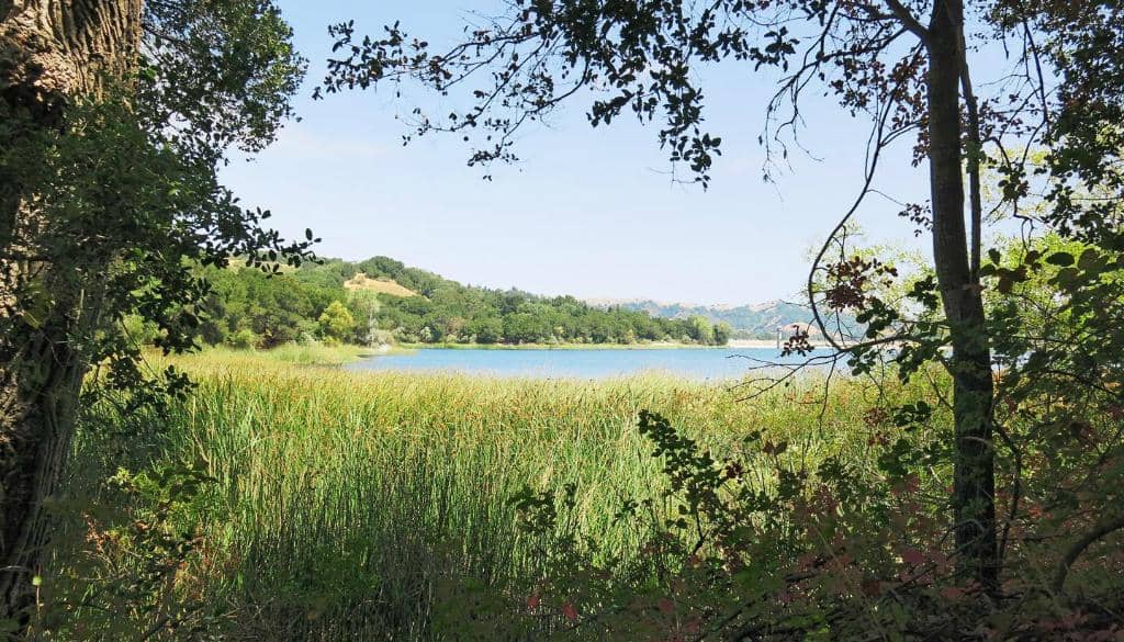 Fishing Opportunities