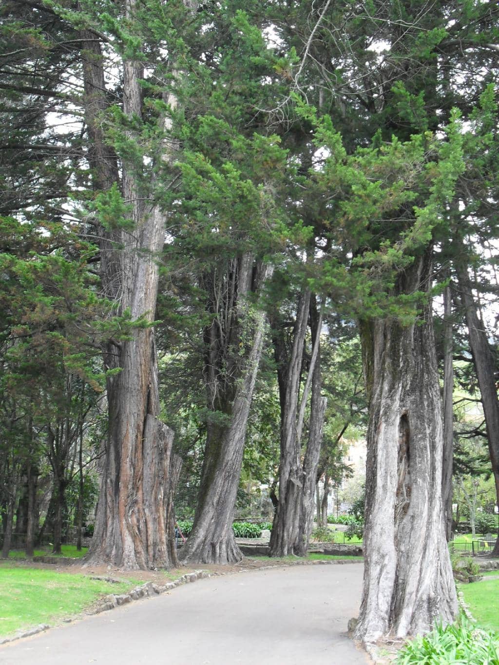 Children's Play Area