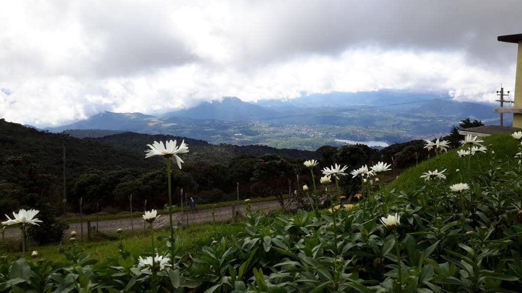 Panoramic Summit Views