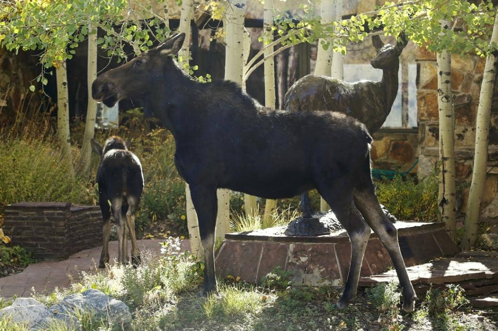 Temporary Exhibitions