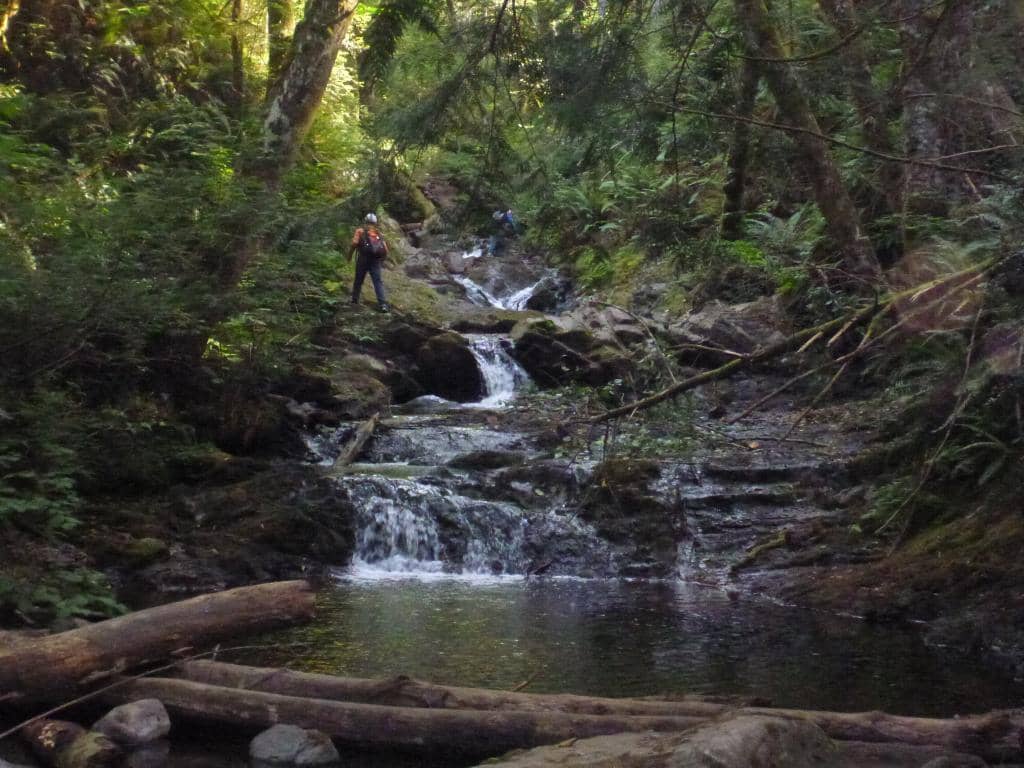 Gold Mountain Summit