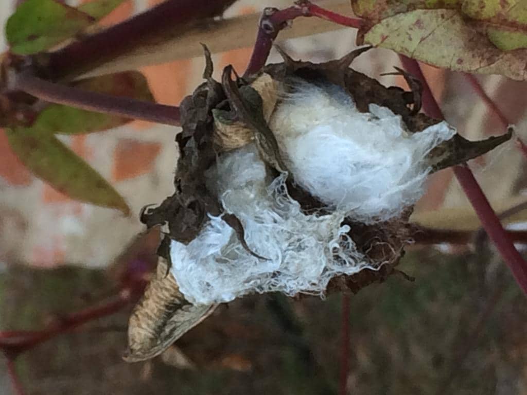 Historic Sites Exploration